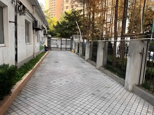 穿越之狂妃不下崽