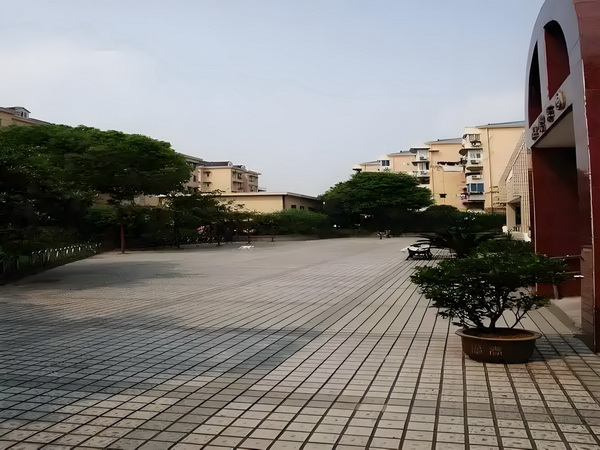 玲珑玉心：别哭黛玉