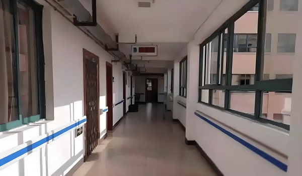 贱仙